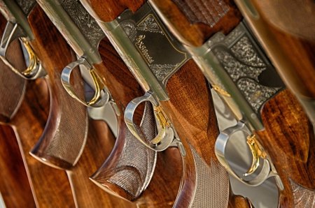Выбор ружья для начинающего охотника, о чём многие почему-то не знают