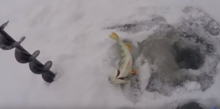 Питание на зимней рыбалке, которая согреет вас