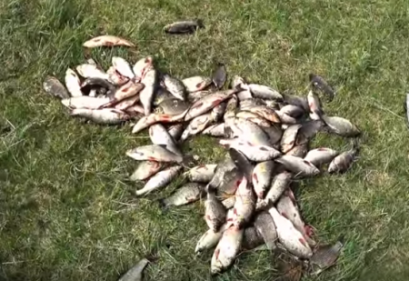 Как сохранить улов до самого дома, даже если вы находитесь на рыбалке несколько дней подряд.